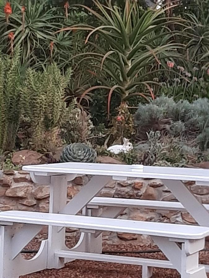 Mountain View Swellendam Apartment Екстериор снимка